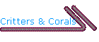 Critters & Corals