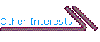 Other Interests